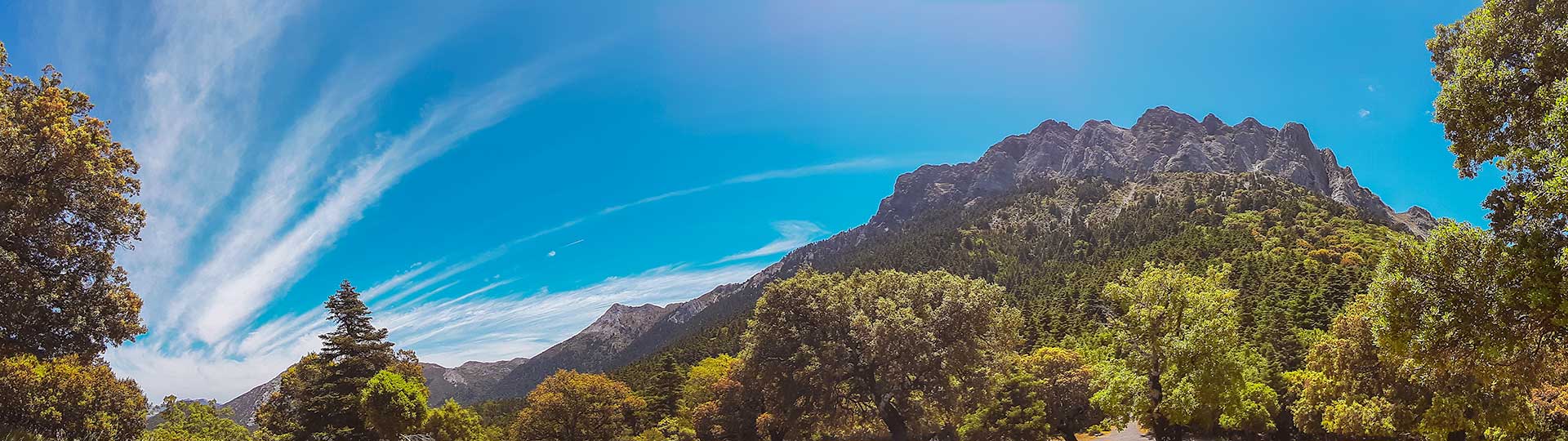 Excursiones en la Sierra de Grazalema