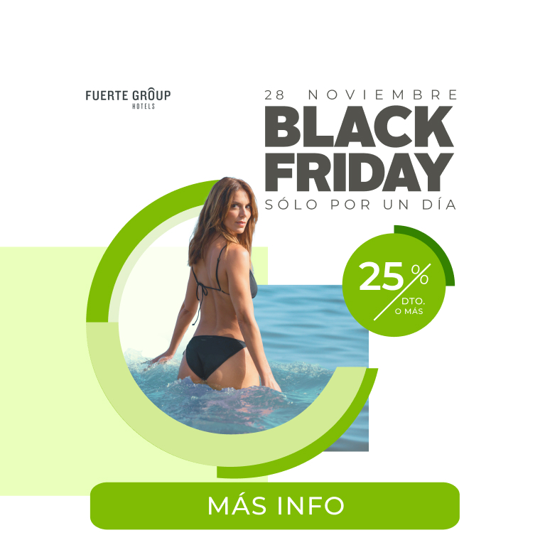 Black Friday 2025 - 25% dto. o más